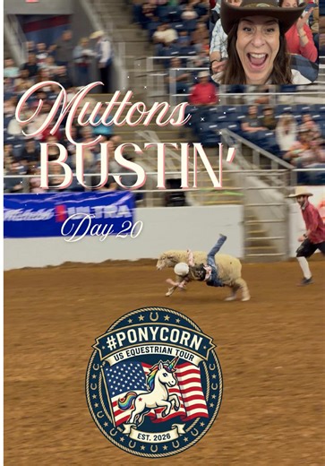 Un rodéo pour enfant sur un mouton WTF ?! (Muttons Bustin’) 🇺🇸😂 🇺🇸 PONYCORN US EQUESTRIAN TOUR 🇺🇸 3 mois en immersion pour découvrir la culture équestre américaine 🐴 mais pas que … 😏 —————————————— ✨ Nos 2 Sponsors incroyables dans cette aventure : 🌱 @nellumb0 Créateur de bien-être animal Des produits de soins pour animaux vegan et fabriqués en Bretagne 🤍 🎁 Code PONYCORN10 : -10 % sur toute la boutique ♻️ @hanit.fr L’expert des aménagements d’équestres en 100 % plastique recyclé. Dur