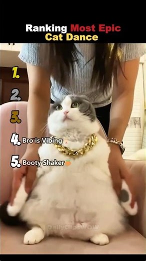 Ranking Most Epic Cat Dance🐱💃🏻 (#1 WINS)