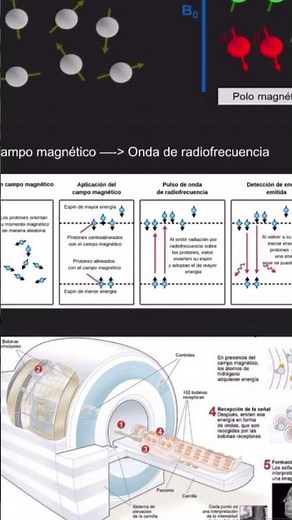 Introduction to MRI 🧲￼