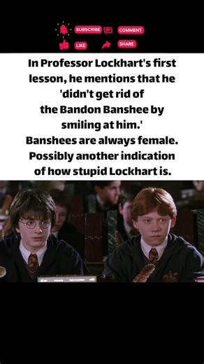 Professor Lockhart is so Stupid #harrypotter #movie #shorts
