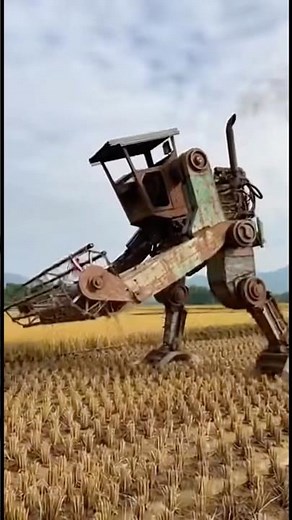 Raw Field Recording: #FieldRecording#MachineASMR#RawSoundscape#RiceFieldAmbience