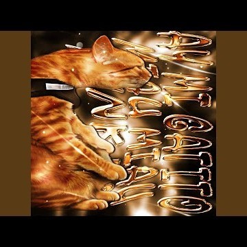 AY MI GATITO MIAU MIAU FUNK 5.0