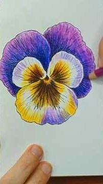 Coloring a Beautiful Pansy Flower 🌸✨ | Layering & Blending with Colored Pencils #adultcoloring