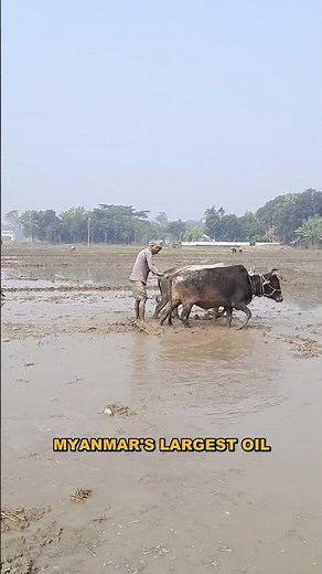 The Oil Pot of Myanmar: Magway Uncovered