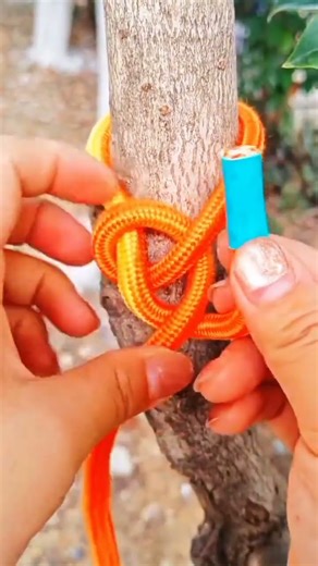 how to tie a rope so it is strong on a tree trunk