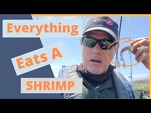 Spring Inshore Saltwater Fishing in Murrells Inlet, SC targeting Flounder, Trout and Redfish