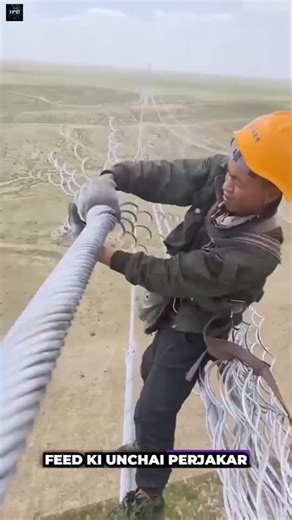 World most dangerous job #shorts