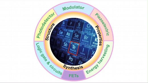 99.Two-Dimensional Tellurium: Progress, Challenges, and Prospects...