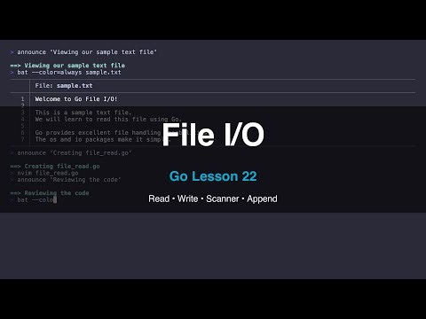 File I/O Tutorial - Read, Write, Scanner & Append | Go Tutorial #22