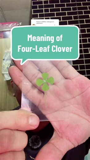 Understanding the Meaning of Four-Leaf Clover