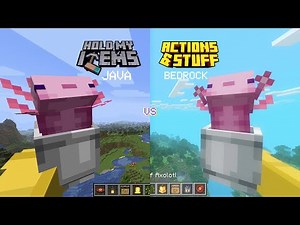 Hold My Items (Java) VS Actions & Stuff (Bedrock) | Animation Comparison