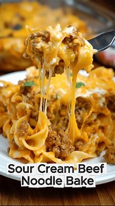 Sour Cream Beef Noodle Bake This classic casserole is creamy, cheesy, and full of comforting flavor. With savory ground beef, tender noodles, and a tangy sour cream sauce, it’s been a weeknight winner in my kitchen for years. It’s also a great make-ahead option for busy holiday weeks, and it brings a little nostalgic warmth to the table during those chilly winter nights. Ingredients: 1 lb (450 g) ground beef 1 small onion, diced 2 cloves garlic, minced 2 cups egg noodles (uncooked) 1 can (15 oz)