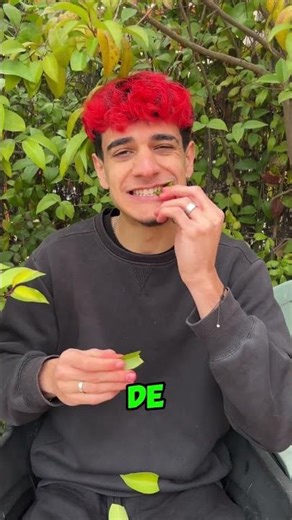 A Mi AMIGO le ENCANTA comer COMIDA EXTRAÑA!