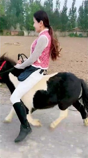 Life Lessons From My Shetland Pony