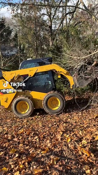 A Day in the Life of a Tree Removal Business Owner