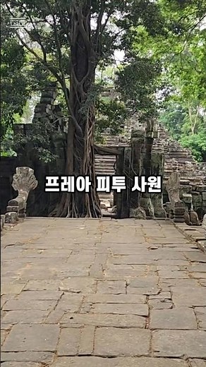 앙코르의 고요한 매력, 프레아 피투 사원 한국 기술로 되살아난 유산