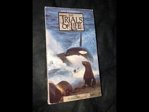 Opening to The Trials of Life: Hunting & Escaping 1991 VHS
