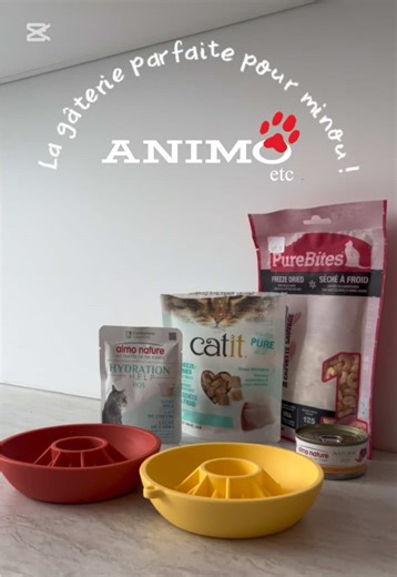 Animo Etc Repentigny on TikTok