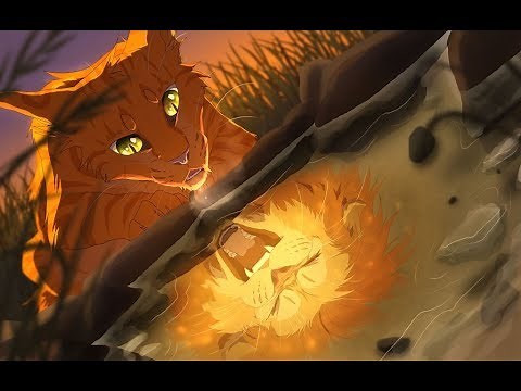 LGDC - Les 9 vies d’Étoile de Feu - Ombre de Lune