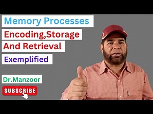 Memory Processes I Stages of memory l Encoding, storage and retrieval l Learn and Grow