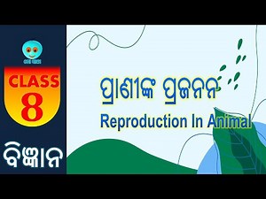 Class 8 | Reproduction in Animals | ପ୍ରାଣୀଙ୍କ ପ୍ରଜନନ