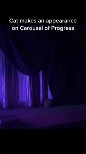 Cat on Carousel of Progress at Disney World