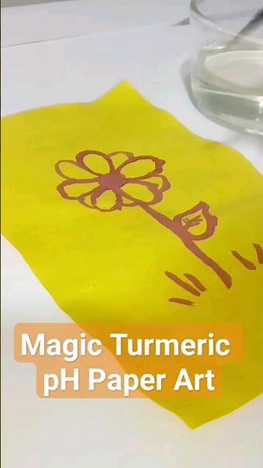 Acid Base Chemistry Craft: pH Paper Art Using Turmeric