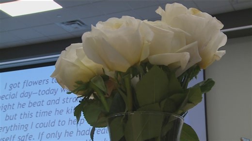 Advocates unite at Minnesota summit to tackle domestic violence crisis