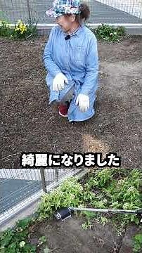For weeding the garden, use the IDEC Super Une Kusatori-ma VA.