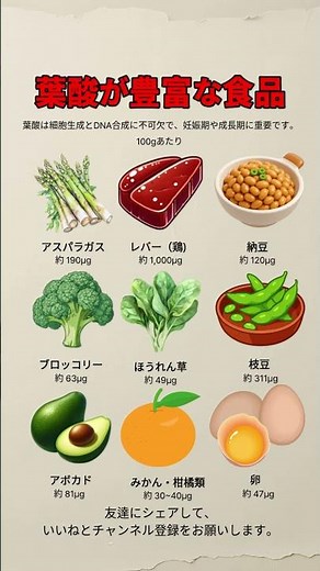 不足すると危険！葉酸を多く含む食品ランキング #葉酸 #葉酸サプリ #妊娠準備 #妊婦さん #妊活 #栄養素 #食事改善#ビタミンB群 #健康習慣 #食べ物 #ショーツ #栄養学 #食生活改善
