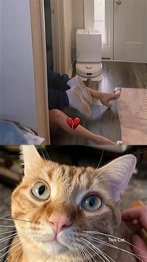 🤣 #voiceacting #tiktoktrend #jumpstyle