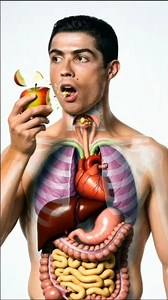 How Digestion Works Inside the Human Body | Realistic 3D Animation #human #digestivehealth #shorts