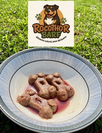 Alimentación Natural para Mejorar la Salud de tus Mascotas