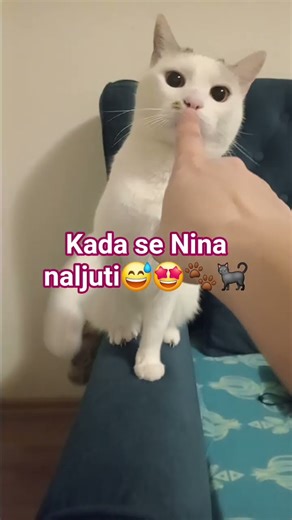 Ipak volim te do neba , pa i ljutu🐾🐈‍⬛🤩❤️