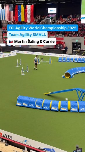 6.8K views · 1K reactions |  Martin Šaling & Carrie – what a fantastic run!  This young handler and his amazing dog finished 4th in the individual results – an incredible achievement on the world stage.  #AWC2025 #AgilityWorldChampionship #TeamCzechRepublic #MartinSaling #DogAgility #AgilityDogsWorld #AgilityLife #AgilityCommunity #AgilityCompetition #DogSport #AgilityRun | Agility Dogs World | Facebook