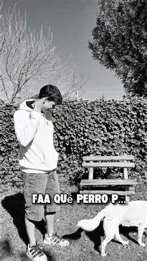 FARROW ¿POR QUÉ LAS CANCIONES QUE VOY A SACAR SIGNIFICA MUCHO PARA MÍ?￼❤️‍🔥❤️‍🔥