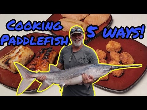 Cooking PADDLEFISH (Spoonbill) Multiple Ways! (Smoked, Grilled, and Fried)