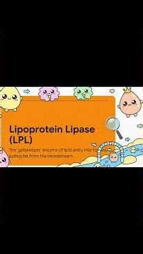 JUNK FOOD AND YOUR METABOLISM- #health #athlete #busyprofessional #nutritionfacts #longevity