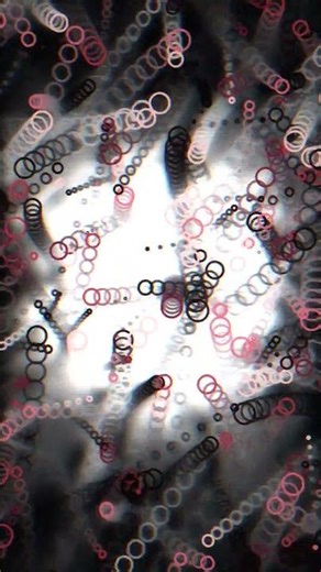 Ever seen a deep-sea geometric organism breathe? This generative art experiment #Shorts