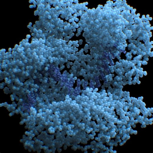 16K views · 434 reactions | CRISPR is bacteria's natural defense against viruses. Discover how it works in bacterial cells and how it can be applied to other forms of life—including humans. | NOVA l PBS | Facebook