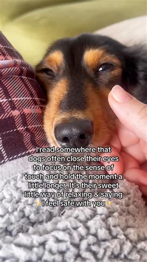 I'm not crying, you are. 🥹 | Digitdax