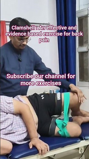 clamshell An effective and evidence based exercise for back pain