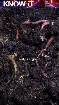 Can Soil Really Remove Carbon From the Air? 🌱🌍
