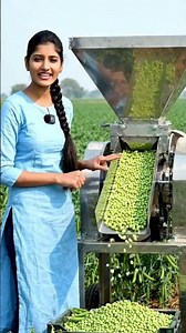 👉मटर काटने वाली मशीन । Pea Shelling Machine । 🙂🙂🙂