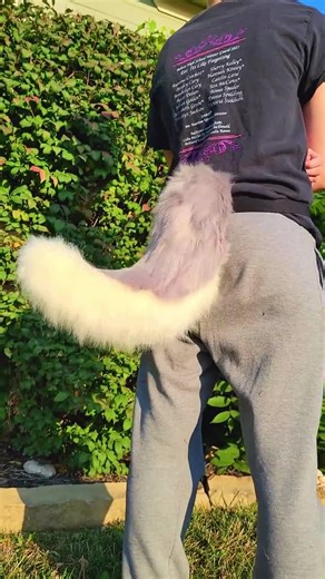Custom Puppy Tails! Canine Furry Dog Costume and Wolf Cosplay! 16 Inches! - Etsy