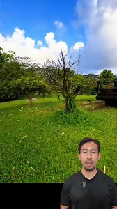 5.9M views · 92K reactions | Forestry Mulcher รถตีนตะขาบติดหัวบด | NineKla Laithongdee | Facebook