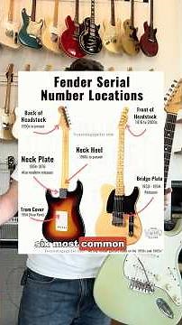 Where to Find the Serial Number on a Fender Guitar (6 Common Locations)