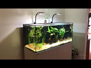 Red Sea Reefer 350 (Freshwater Setup)