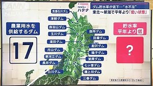 Water Shortages Loom as Dam Levels Across Japan Plummet