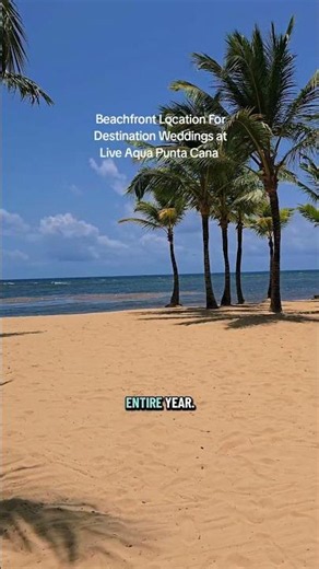 Beachfront Location For Destination Weddings at Live Aqua Punta Cana